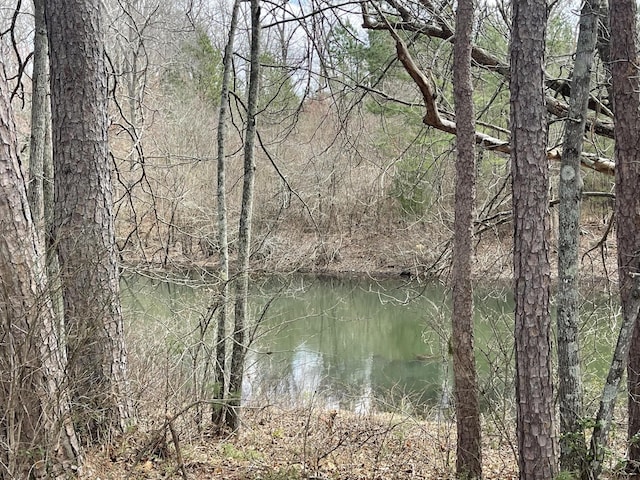 property view of water with a forest view