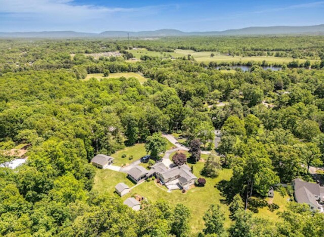 233 Morgan Rd, Crossville, TN 38555 - photo 67