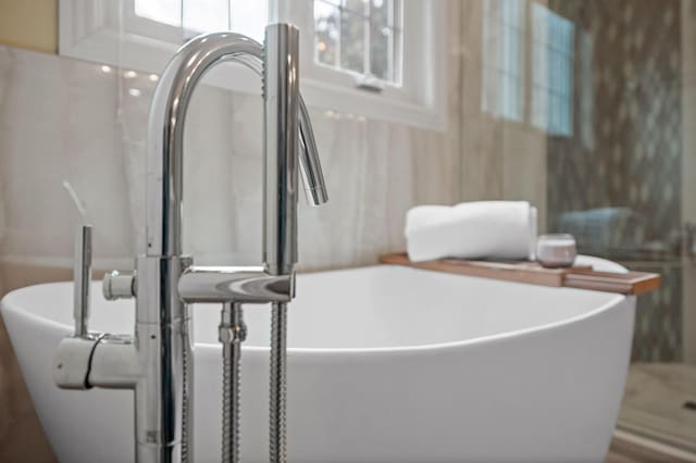 room details featuring a freestanding bath