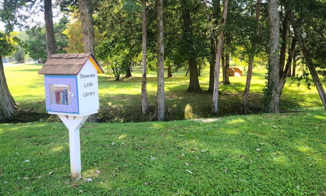 view of community featuring a yard