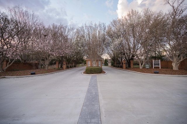 view of street with curbs