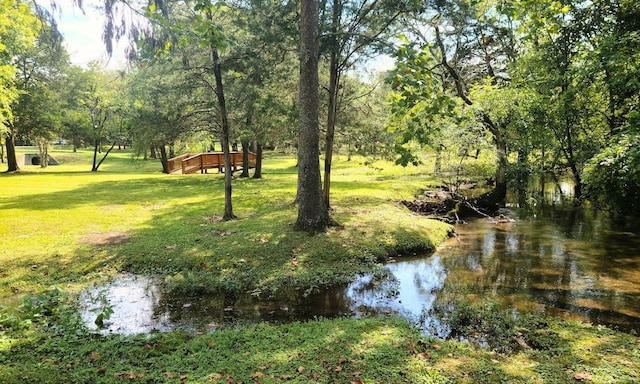 view of community with a lawn