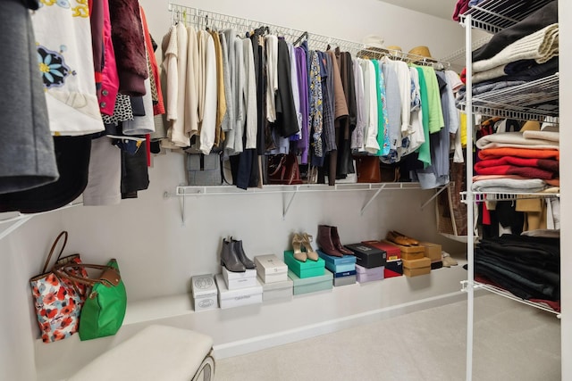 view of spacious closet