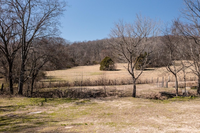 view of landscape with a wooded view