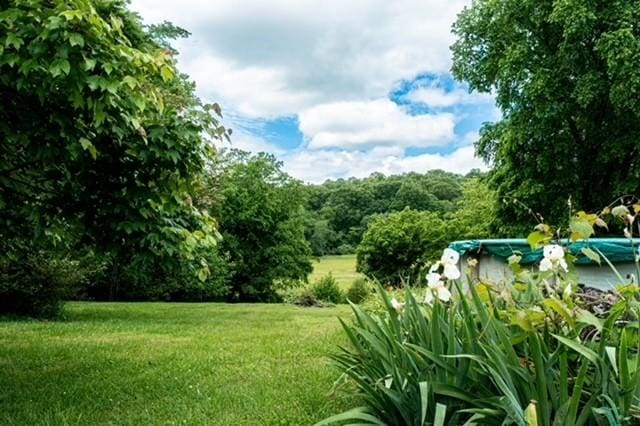4511 Gosey Hill Rd, Franklin, TN 37064 - photo 8