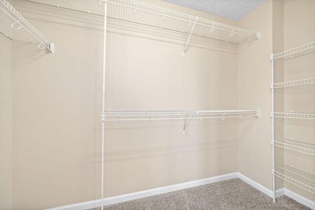 walk in closet with carpet