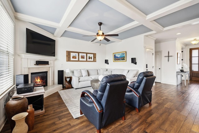 living area featuring ceiling fan, coffered ceiling, dark wood finished floors, and a high end fireplace