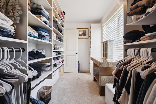 spacious closet featuring light colored carpet