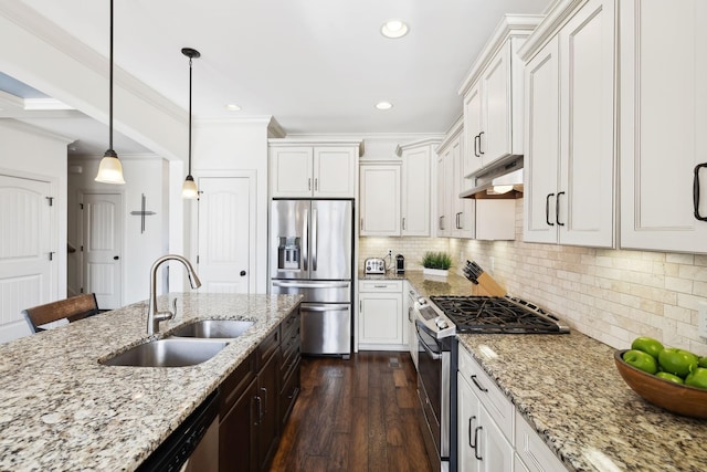 kitchen featuring a sink, stainless steel appliances, dark wood-type flooring, under cabinet range hood, and tasteful backsplash