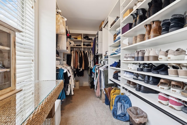 spacious closet with carpet