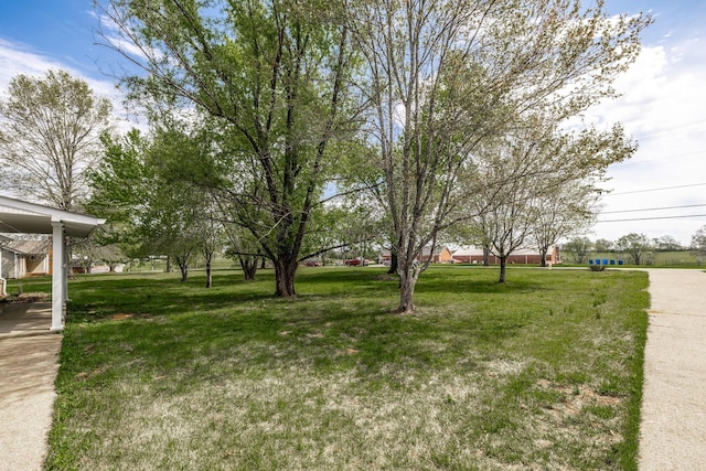 view of yard