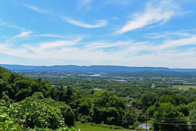 view of mountain feature featuring a view of trees