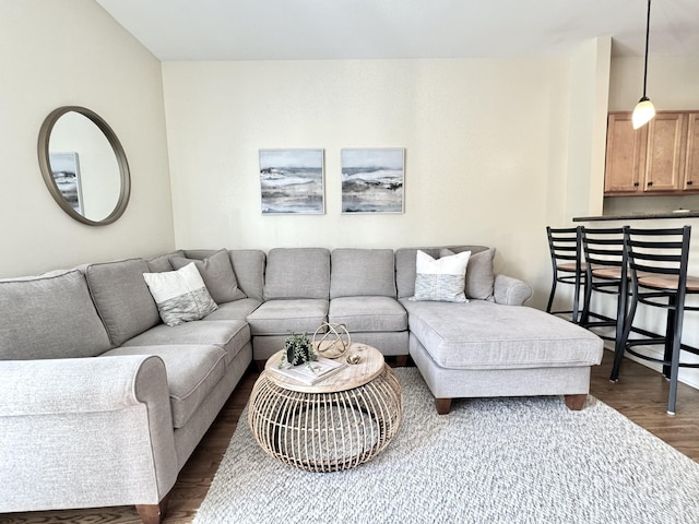 living room featuring dark wood-type flooring