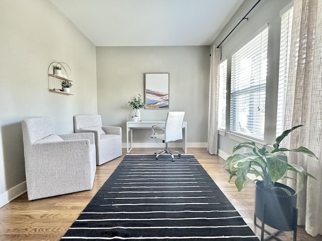 office with baseboards and wood finished floors