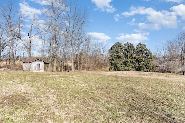 view of yard featuring an outdoor structure