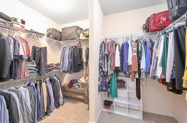 spacious closet featuring carpet floors