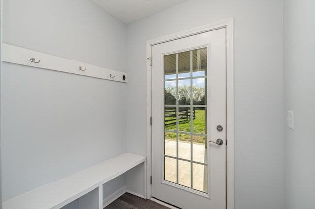 mudroom with dark wood-style floors