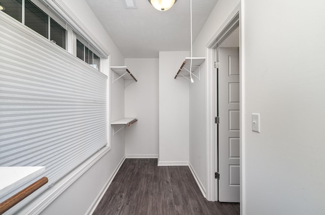 walk in closet with wood finished floors