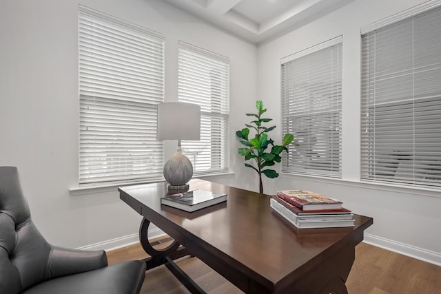 office with baseboards and wood finished floors