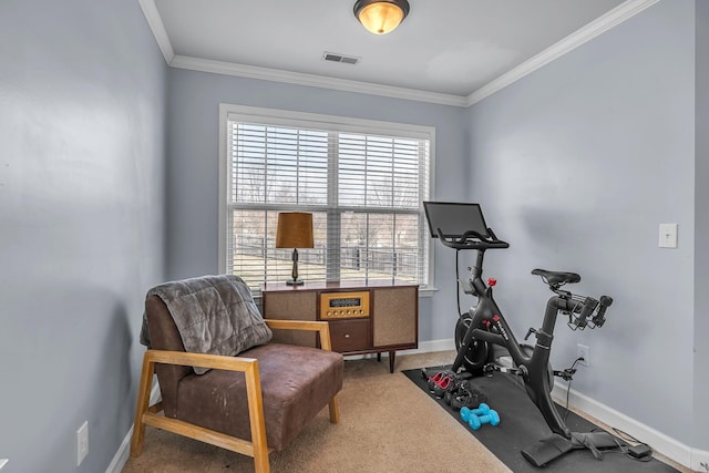 workout room featuring visible vents, baseboards, carpet, and ornamental molding