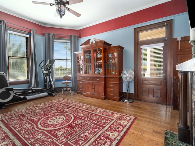 workout room with wood finished floors, ceiling fan, and ornamental molding