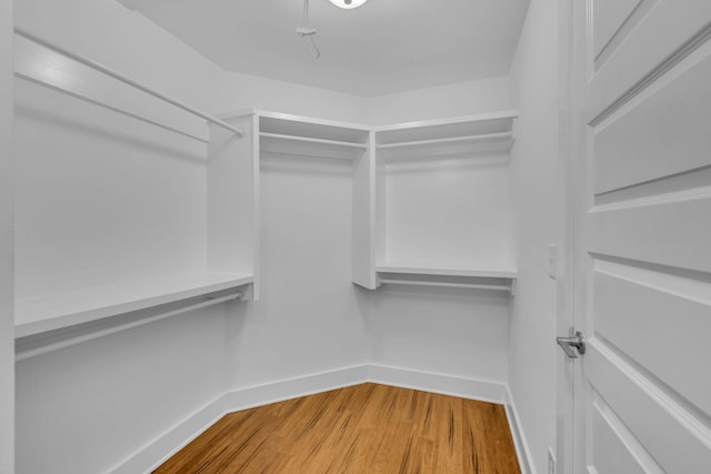 spacious closet featuring wood finished floors