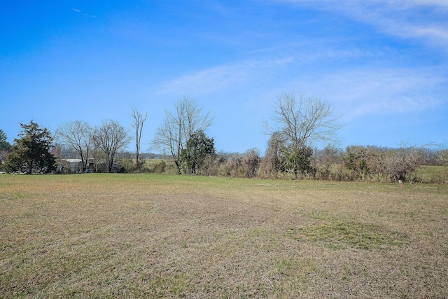 view of yard with a rural view