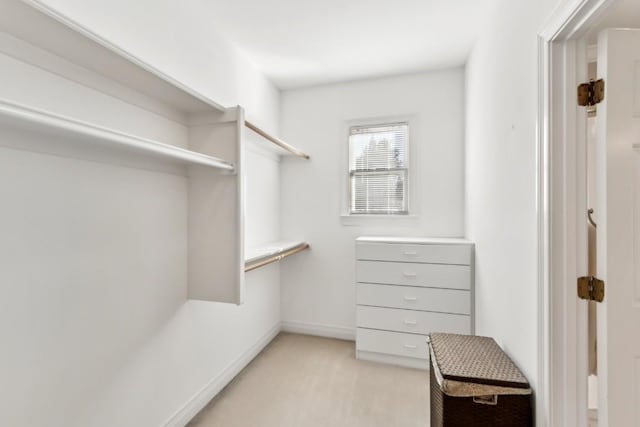 spacious closet with light carpet