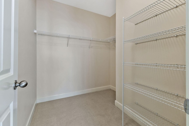 spacious closet featuring carpet floors