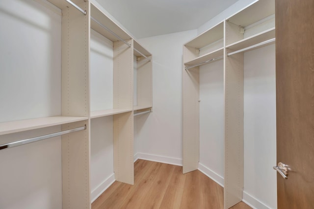 walk in closet with light wood-type flooring