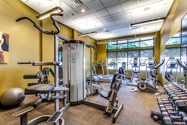 gym featuring a drop ceiling, visible vents, and carpet floors