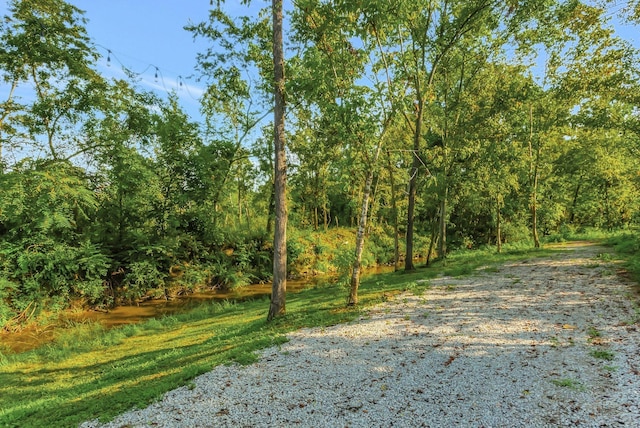 view of yard featuring a wooded view