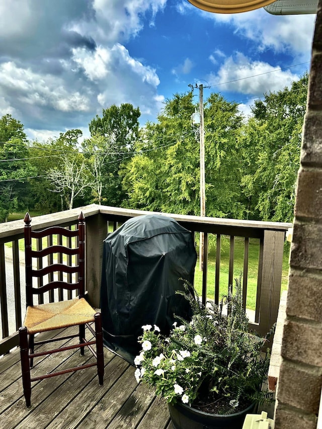 wooden deck with grilling area