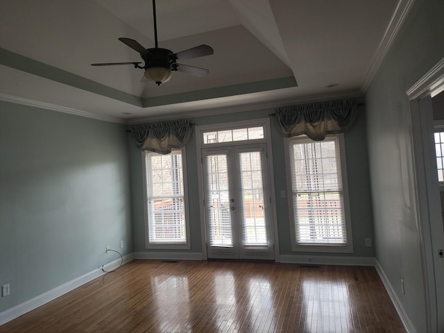 unfurnished room featuring plenty of natural light, a raised ceiling, and dark wood-type flooring