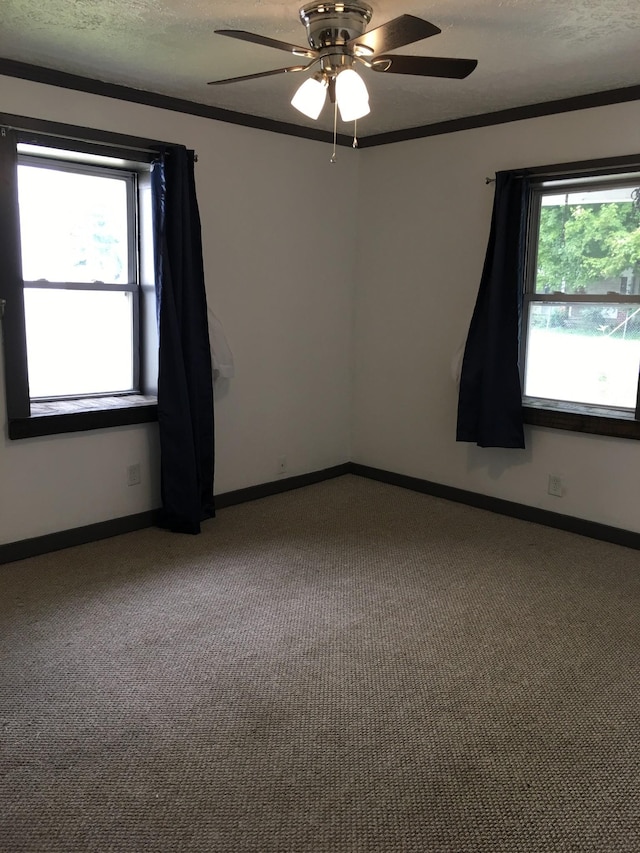 carpeted empty room featuring a textured ceiling, a healthy amount of sunlight, and ornamental molding