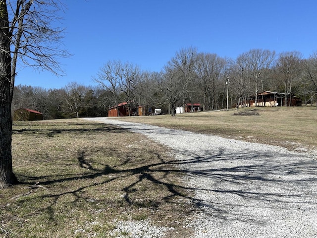 view of road with driveway