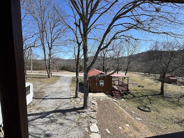 view of yard with driveway