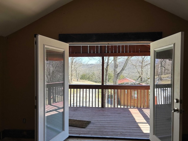 doorway to outside featuring vaulted ceiling and plenty of natural light