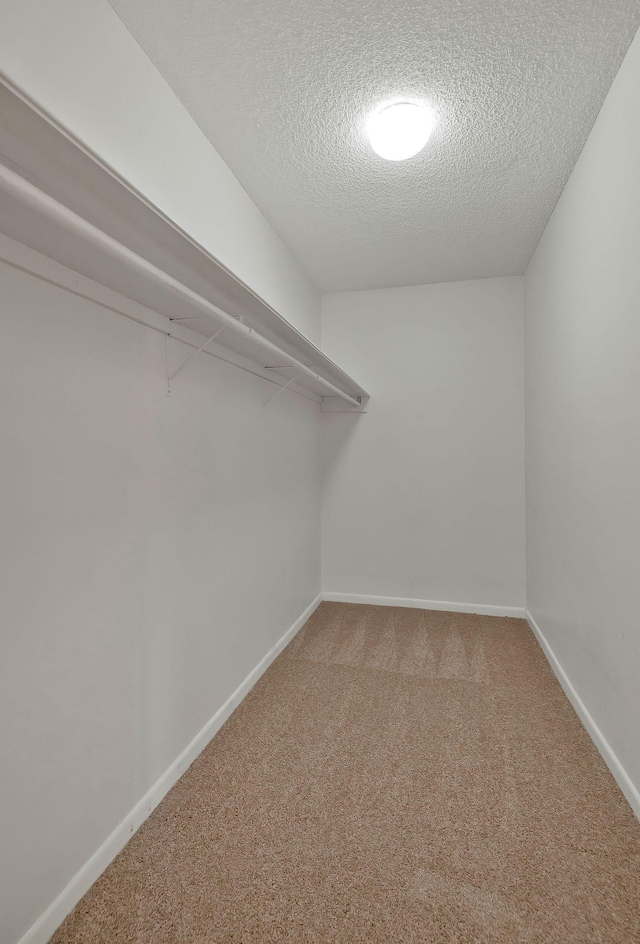 spacious closet featuring carpet