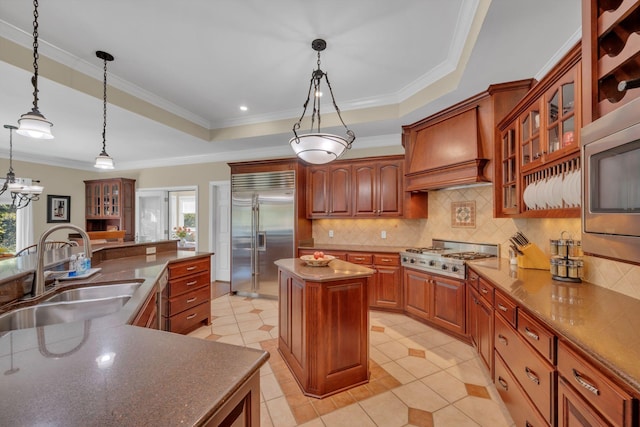 kitchen featuring a kitchen island, premium range hood, appliances with stainless steel finishes, a raised ceiling, and a sink