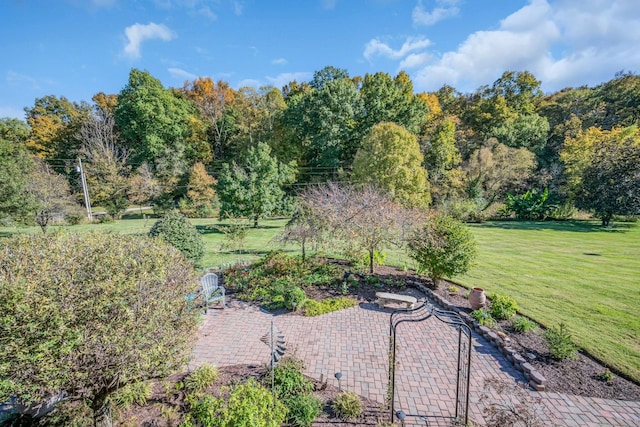 view of yard featuring a patio