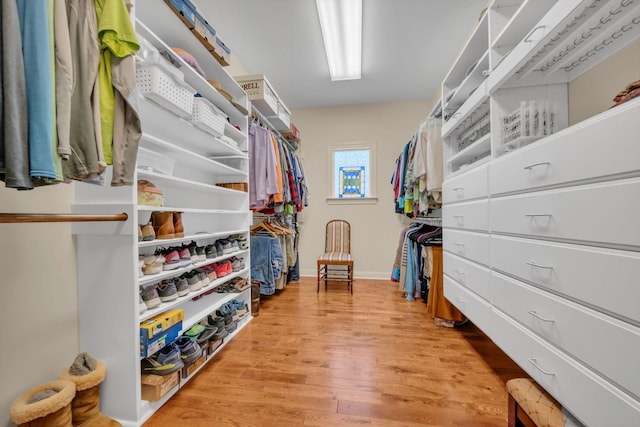 spacious closet featuring wood finished floors