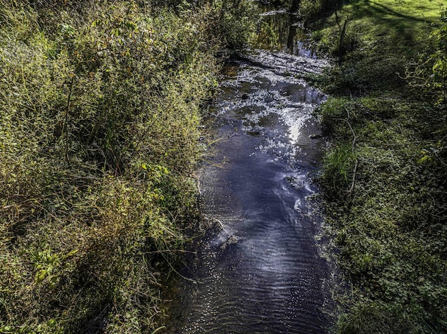 property view of water featuring a forest view