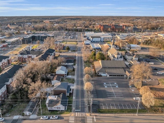 bird's eye view