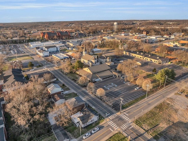 bird's eye view