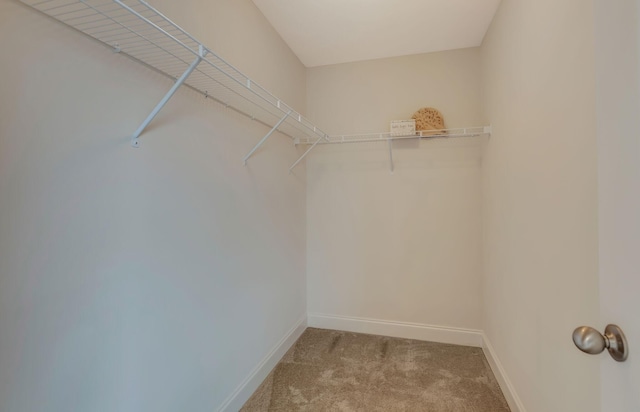 spacious closet with light colored carpet