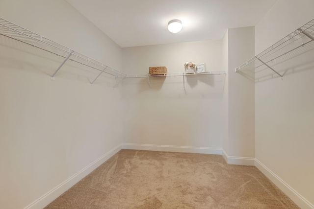 spacious closet with light carpet