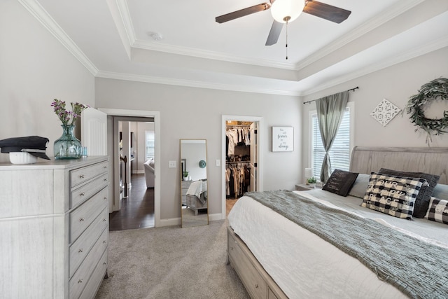 bedroom with a tray ceiling, a spacious closet, a closet, crown molding, and light colored carpet