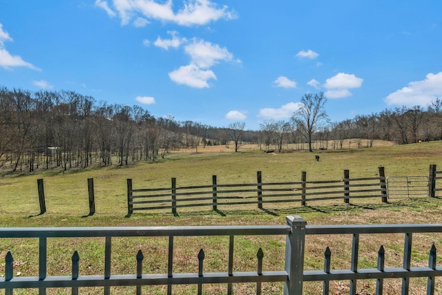 view of yard with a rural view and fence