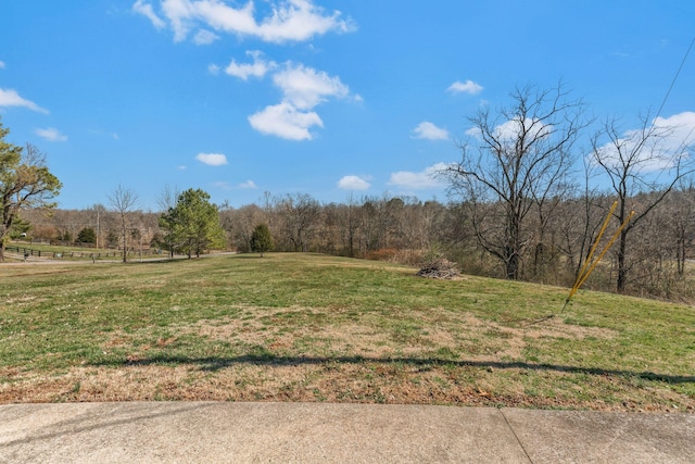 view of yard with a rural view